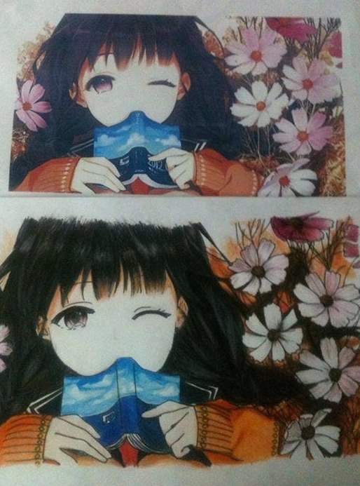 imagen-55